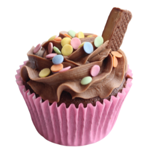 Chocolate Fudge