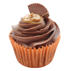 Peanut Butter Cupcake